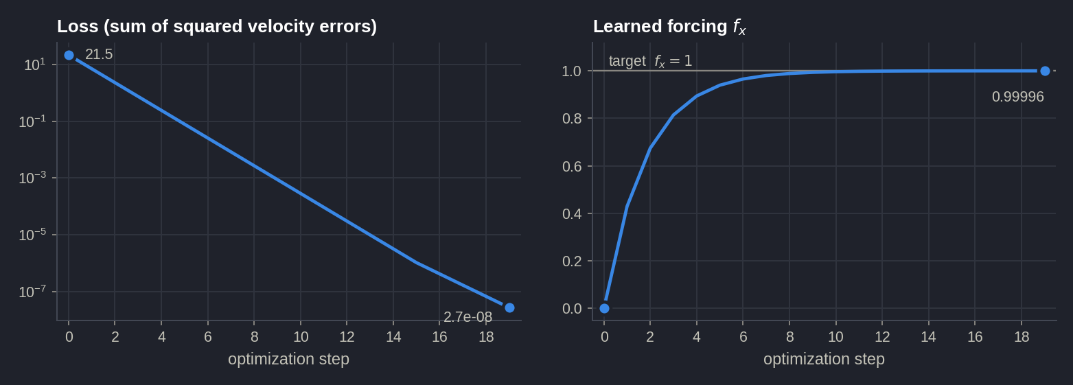 Loss and learned forcing during the optimization