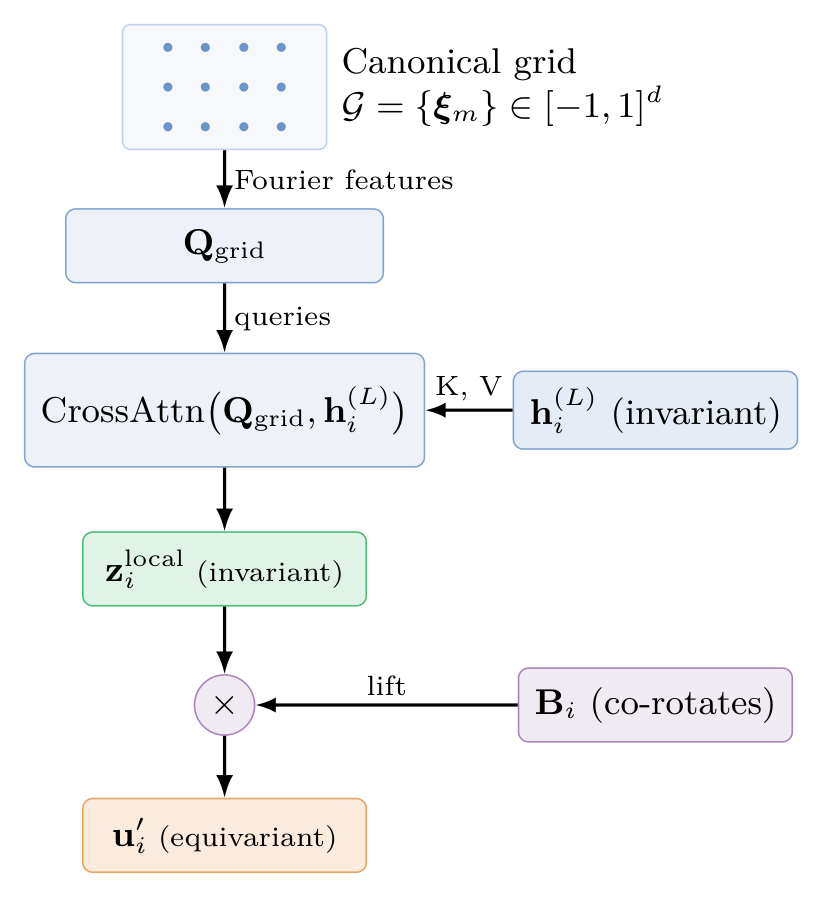 Equivariant Decoder: canonical grid → Fourier features → CrossAttn → z^local (invariant) → B_i lift → u' (equivariant).